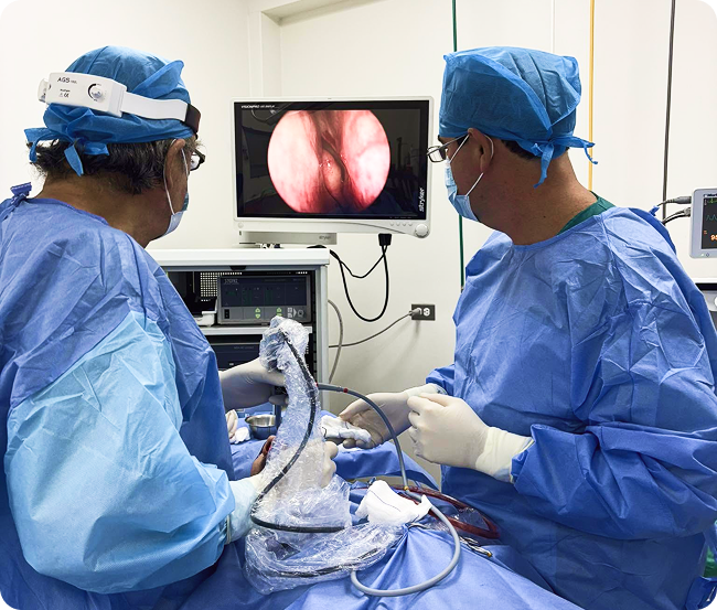 Cirujanos de Hoyle Otorrinos realizando una endoscopía en quirófano